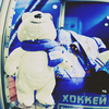 Медведь Сочи 2014