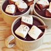 hot chocolate with marshmallows & cinnamon