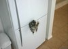 Кот магнит в холодильник!