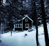 Новогодние каникулы в уютном доме в зимнем лесу