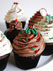 Holiday Cupcake Collection