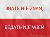 J&#281;zyk polski na poziomie B2/C1