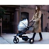 Bloom Zen Yoga stroller