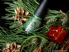 China Glaze Nail lacquer with hardeners #81399 "This Is Tree-mendous"