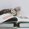 book about Scottish Fold