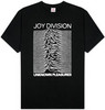 футболка unknown pleasures