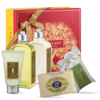 Вербена   L'Occitane