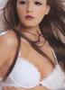 Papillon 0262