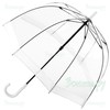 Прозрачный зонт-трость Fulton L041-002 White Birdcage-1