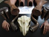 FS Soom MD Chalco Forest King Linnus Fantasy Parts (Tan) - Layaway ok! $400.00