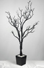 Manzanita Trees Potted 4 foot Black Artificial
