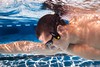 FINIS Neptune waterproof MP3 player
