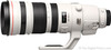 Canon EF 200-400mm f/4 L IS USM Extender 1.4x