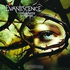 Evanescence - Anywhere but Home (2004) CD + DVD