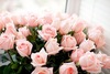 огромный букет розовых роз