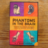 phantoms in the brain