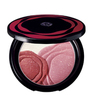 Shiseido Camellia Compact Коллекционная пудровая палетка (осень-зима 2012)
