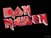 билет на концерт  Iron Maiden