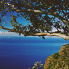 Madeira