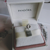 Pandora Passport Pendant Charm