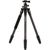 (0700) Benro C1182TB0 Tripod Kit with Ball Head