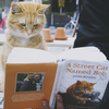 A Street Cat Named Bob