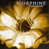 Morphine The Night