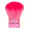 Coastal Scents Pink Kabuki