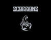 На концерт группы Scorpions