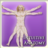 Пройти курс Intuitive Anatomy