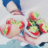 strawberry in chocolate