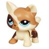 Ходячая зверюшка Littlest Pet Shop - Котенок