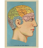 Постер 'Phrenology'