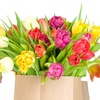 Хочу букет весенних тюльпанов!))))