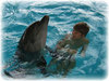 Дельфины (часовое плавание)