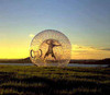 go zorbing