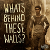 The Maze Runner