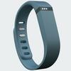 Fitbit® Flex Wireless Activity + Sleep Wristband - Slate