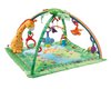 Fisher-Price Rainforest Melodies and Lights Deluxe Gym