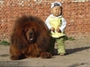 A BIG dog