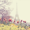Погулять по Парижу