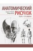 Анатомический рисунок. Тело человека