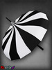 зонт
