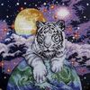 Tiger of the Heavens