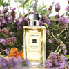 jo malone amber & lavender