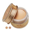 Skinfood salmon Darkcircle Concealer