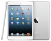 iPad mini with Retina display