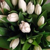 Букет белых тюльпанов
