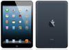 iPad Mini Retina Wi-Fi 64Gb Black