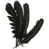Украшения, аксессуары с черными перьями